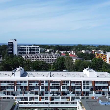 Apartment Black & Pink A020 - *